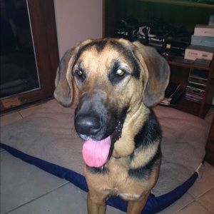 Meet your Posher, William